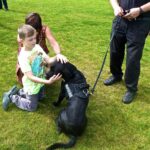 George the search dog at the Family Fun day