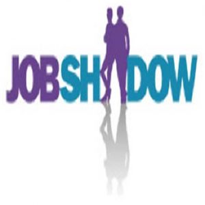 virtual job shadow reviews