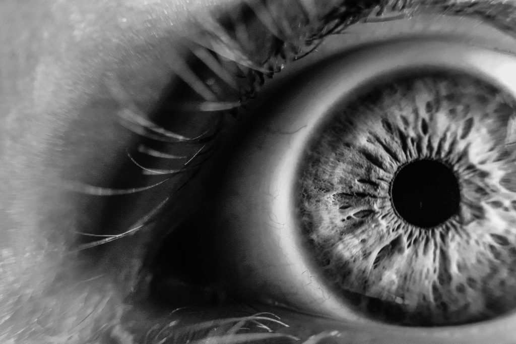 the human eye in black and white