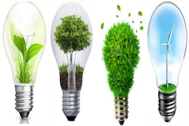 4 lightbulbs being used to protect the environment